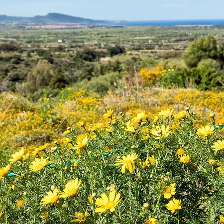 Appartamento Sardinia Re - Il Poggio 23 *